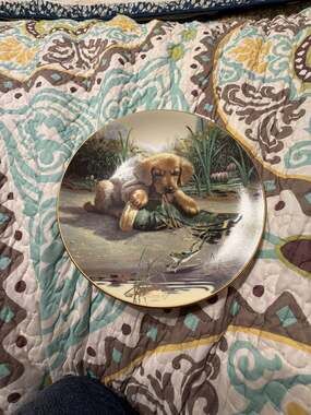 River Shore Catch of the Day Puppy Playtime Collector Plate